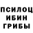 Псилоцибиновые грибы мухоморы Nika Neiely