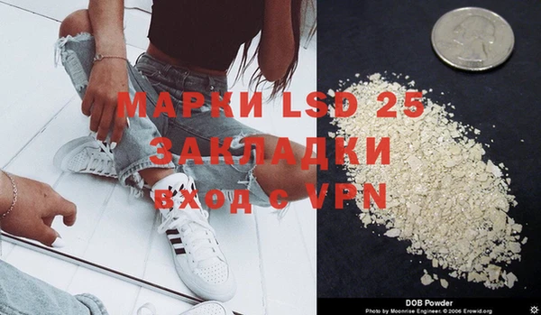 apvp Алзамай