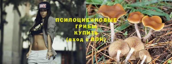 apvp Алзамай